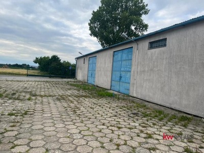 Magazyny i hale, Czerniejewo, 1289 m²