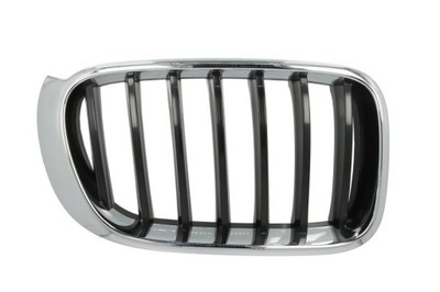 REJILLA DEL RADIADOR (GRILL) BLIC BM8062003  