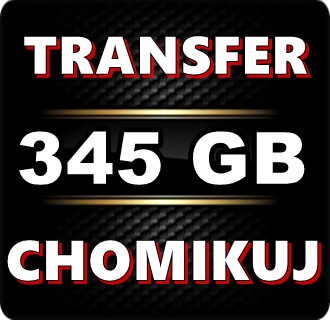 TRANSFER CHOMIKUJ 345 GB BEZTERMINOWO