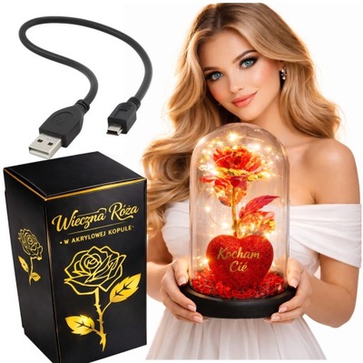 VEČNÁ RUŽA V LED SKLE SVIETIACA AKO DARČEK NA Deň sv. Valentína + USB kábel