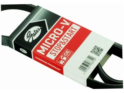 Ремень многоручьевой ford tourneo connect 1.0 13- courier 1.0 14- фото №1