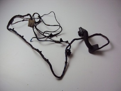 Електропроводка двері лівий задня bmw x5 e70 фото №1