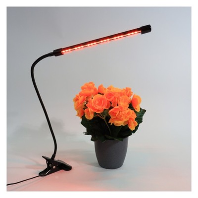 PLATINET lampa LED do wzrostu roślin 3W klips