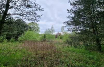 Działka, Dobroszyce, Oleśnicki, 3200 m²