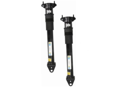 Амортизаторы задняя mercedes klasa gl x164 3.0-5.5 06-12 фото №1