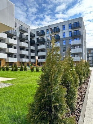 Mieszkanie, Sosnowiec, 55 m²