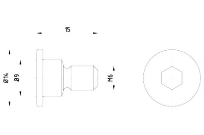 TEXTAR PERNO FIJADOR FRENOS DISCO PARTE DELANTERA PARTE TRASERA M6X1X15 OPAKOWANIE  