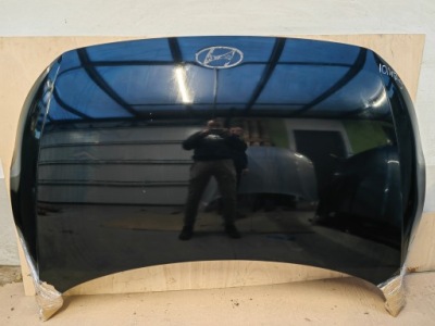 Капот hyundai ioniq 5 v 21-22-23 фото №1