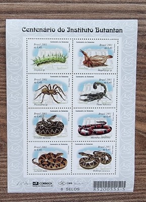 Fauna - Wąż - Pająk - Skorpion - Brazylia