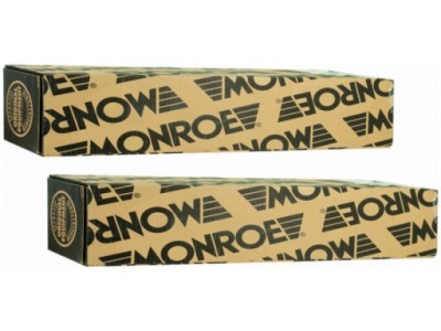 Амортизаторы перед renault grand scenic iii 1.2-2.0 09- фото №1