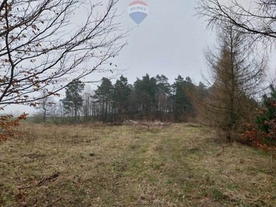 Działka, Lisewo, Krokowa (gm.), 30000 m²