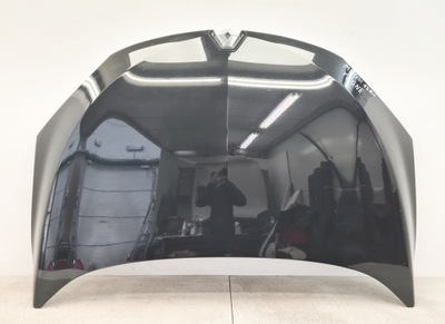 Renault megane iii капот tegne фото №1