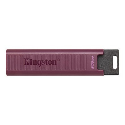 Kingston USB 3.2 Flash Drive DataTraveler MAX 256 GB, USB 3.2