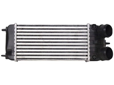 Citroen/peugeot 2012- радіатор повітря фото №1