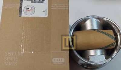 ПОРШЕНЬ HATZ L/M 41 0,50 EPA2 - 01380901