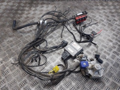 Электропроводка газовая stag-4 plus stag ps-01 valtek dream xxi tomasetto фото №1