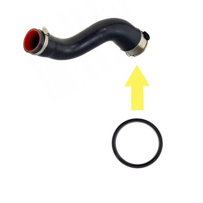 Прокладка ущільнювальне кільце з'єднувачі renault kadjar 1.5 dci фото №1