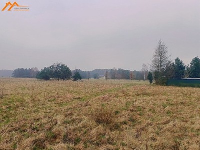 Działka, Jasionna, Wronki (gm.), 1100 m²