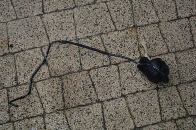 Клапан регулировочный audi a4 8w 059121737aj фото №1