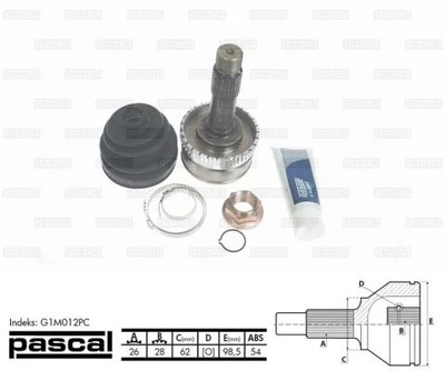 PASCAL G1M012PC AXLE SWIVEL DRIVING KPL.  