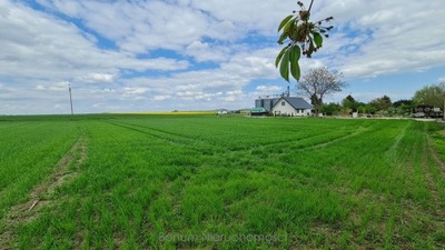 Działka, Braszowice, 3400 m²