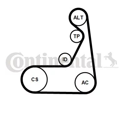 CONTINENTAL CTAM CON 6PK1173K2 КОМПЛЕКТ РЕМЕНЯ W/ПОЛІКЛИНОВОГО