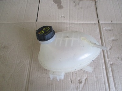 Ford ecosport бак розширювальний wody фото №1