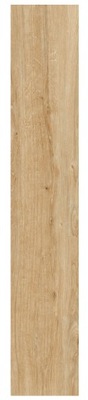 PŁYTKI GRES DREWNOPODOBNY ROVERWOOD PINE 20x120 GAT1