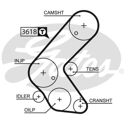 РЕМІНЬ ГРМ GATES 5563XS