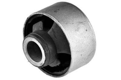 NTY BUSHING SWINGARM  