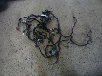 Жгут двигателя 9835331780 citroen jumpy iii фото №1