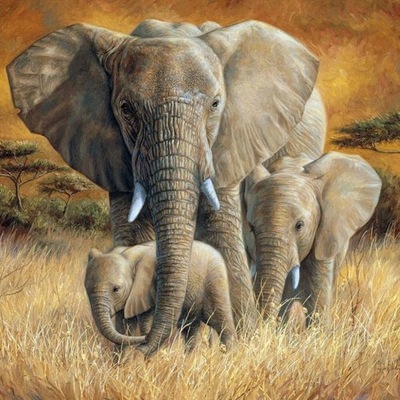 Malowanie po numerach Słonie Rodzina w Afryce
