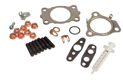 Набір монтажний турбонагнітача renault espace 3,0dci 06- kt220490 фото №1