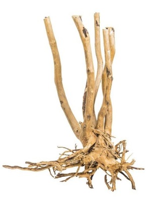Korzeń Fine Wood Stump - 1kg