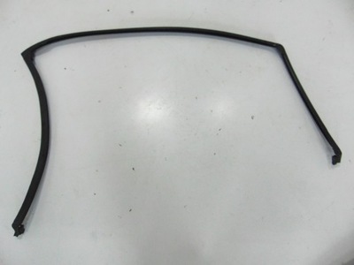 Прокладка дверь правый задняя bmw x6 e71 e72 фото №1