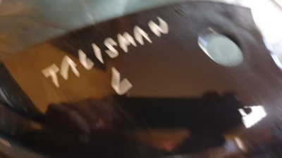 Talisman захист дзеркало з поворотник поворотник фото №1