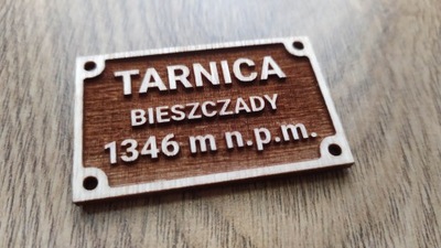 Magnes na lodówkę Tarnica Bieszczady