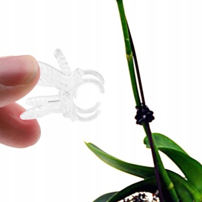 KLIPS DO ORCHIDEI PRZEJRZYSTY SPINKA DO STORCZYK ZESTAW 100x KLIPSY