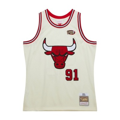 Dennis Rodman Chicago Bulls Jersey, 134-146