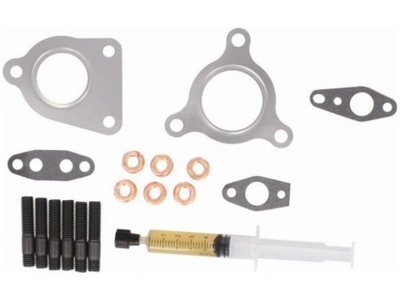 Набор монтажный турбонагнетателя renault vel satis 2.0 фото №1