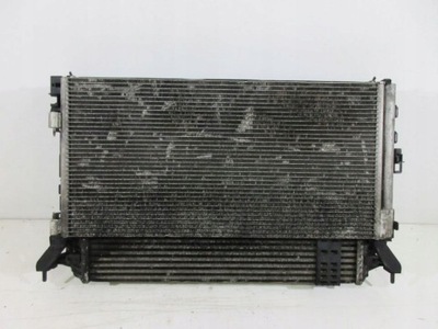 Радіатор вентилятор renault laguna iii 2.0 dci фото №1