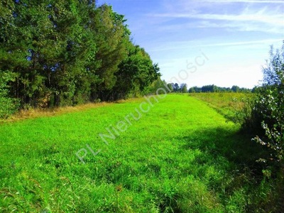 Działka, Cisie, Halinów (gm.), 6400 m²