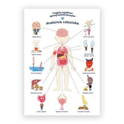 Plakat edukacyjny anatomia dla dziecka format A2