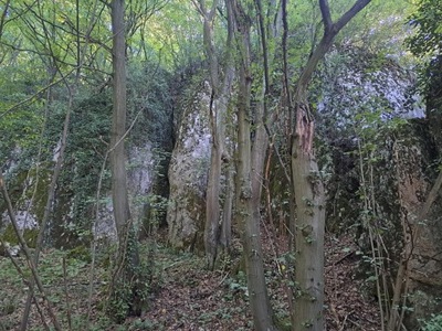 Działka, Łazy, Jerzmanowice Przeginia, Krakowski, 5550 m²