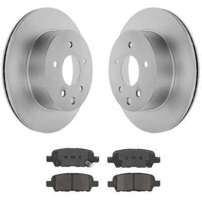 Гальмівні диски + гальмівні колодки задня nissan qashqai x-trail rogue фото №1