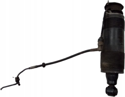 Амортизатор задняя задний mercedes sl r230 фото №1