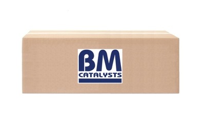 BM CATALYSTS BM31021H CATALIZADOR SCR BM31021H BM31021H  
