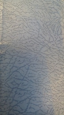 Hoffmanowa DZIENNIK FRANCISZKI KRASIŃSKIEJ 1908