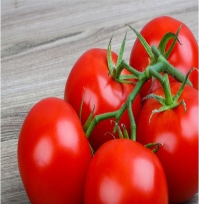 Pomidor Promyk gruntowy wczesny
