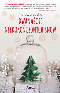 Dwanaście niedokończonych snów